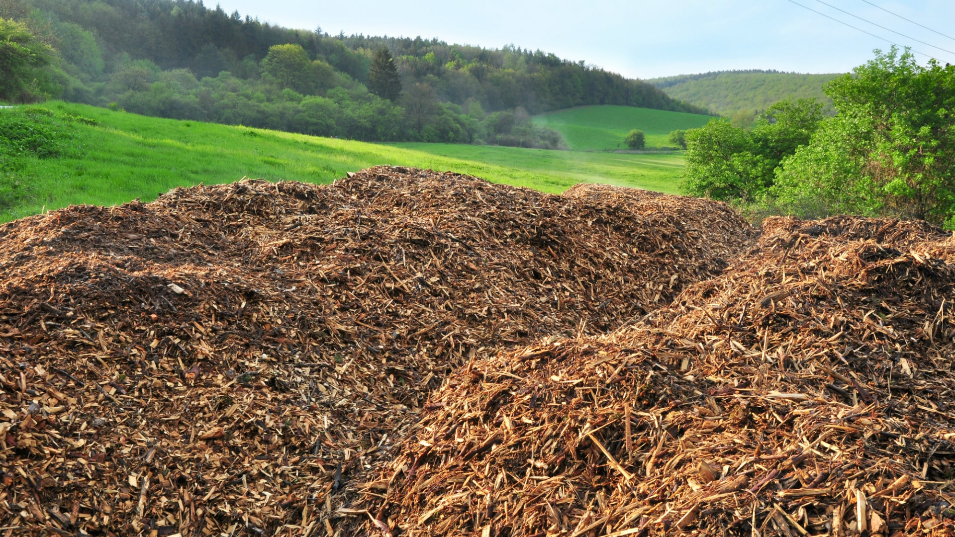 Est Il Int Ressant De Se Chauffer Au Bois Avantages Et